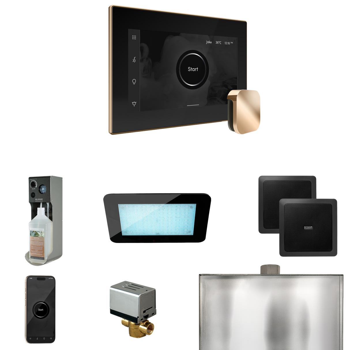 Mr. Steam XDream Steam Shower Control Package with iSteamX Control and Steamhead
