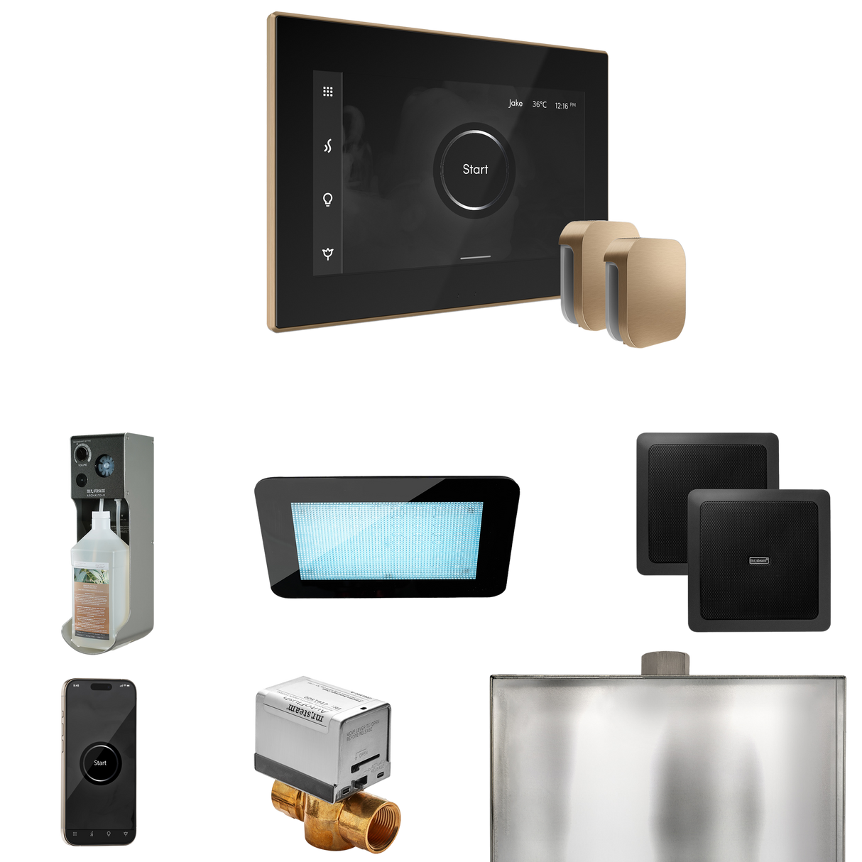 Mr. Steam XDream Max Steam Shower Control Package with iSteamX Control and Steamhead