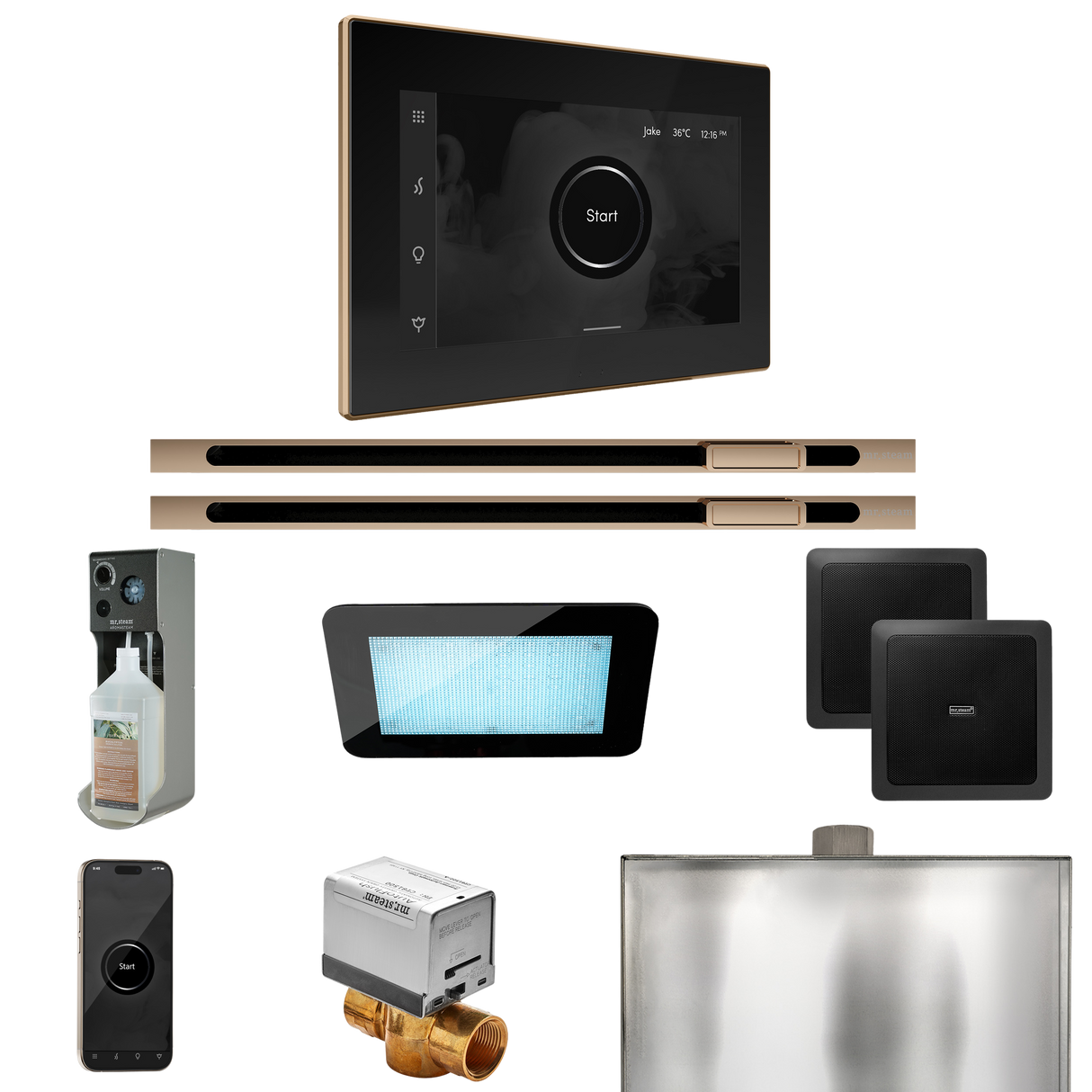Mr. Steam XDream Max Steam Shower Control Package with iSteamX Control and Linear Steamhead