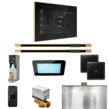 Mr. Steam XDream Max Steam Shower Control Package with iSteamX Control and Linear Steamhead
