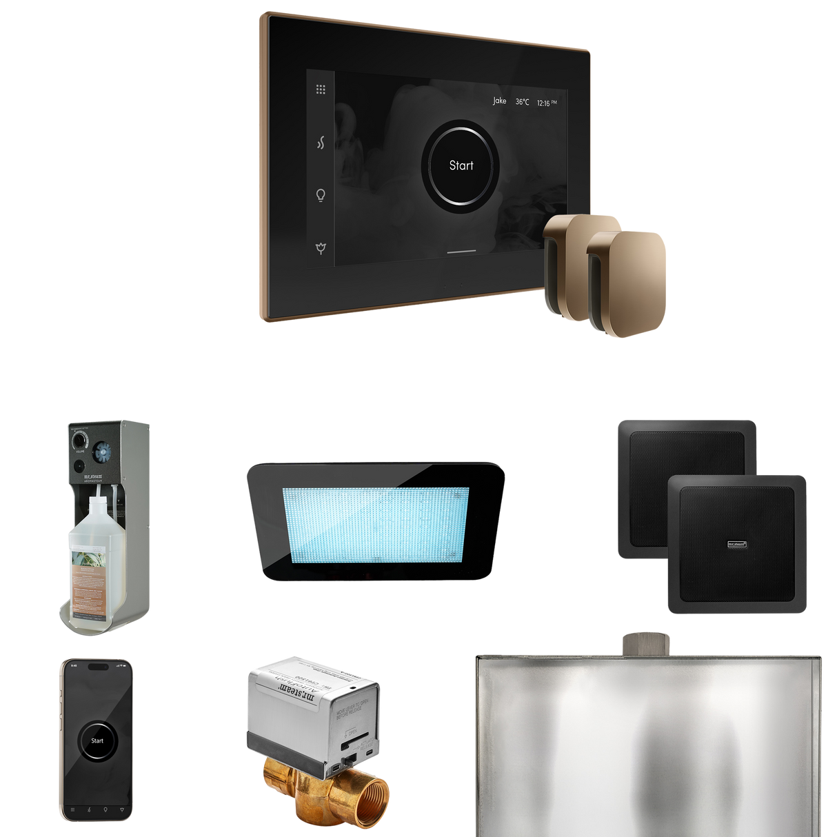 Mr. Steam XDream Max Steam Shower Control Package with iSteamX Control and Steamhead