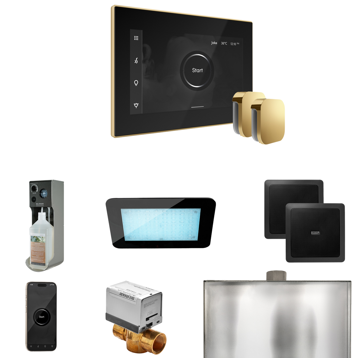 Mr. Steam XDream Max Steam Shower Control Package with iSteamX Control and Steamhead