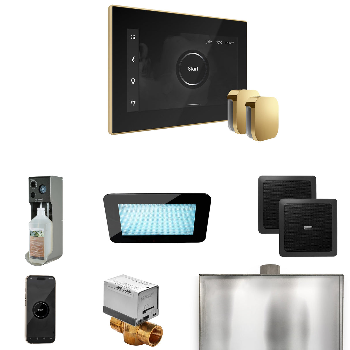 Mr. Steam XDream Max Steam Shower Control Package with iSteamX Control and Steamhead