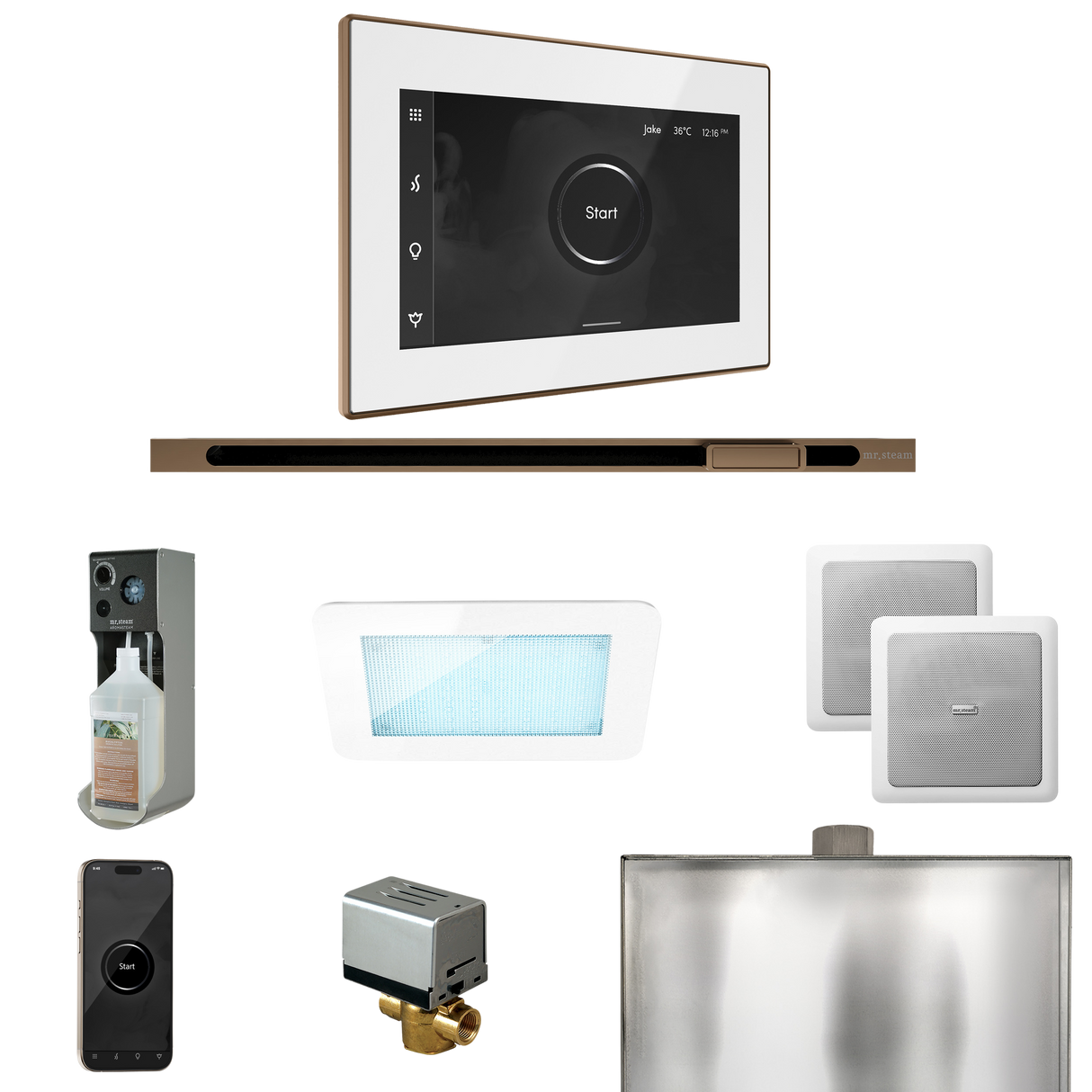Mr. Steam XDream Steam Shower Control Package with iSteamX Control and Linear Steamhead