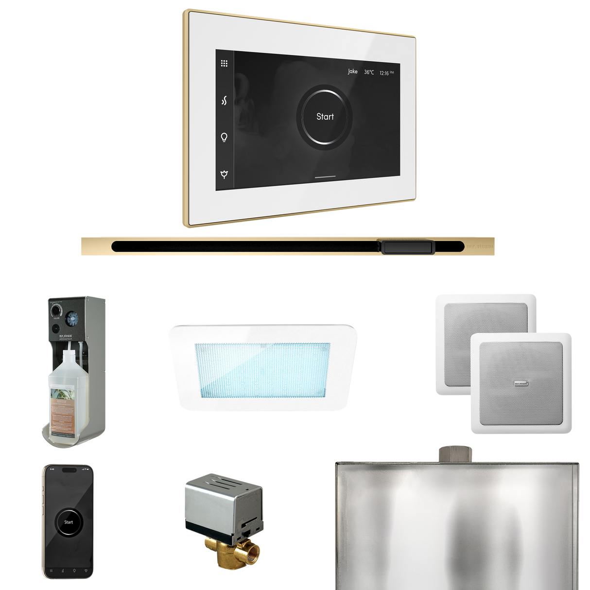 Mr. Steam XDream Steam Shower Control Package with iSteamX Control and Linear Steamhead