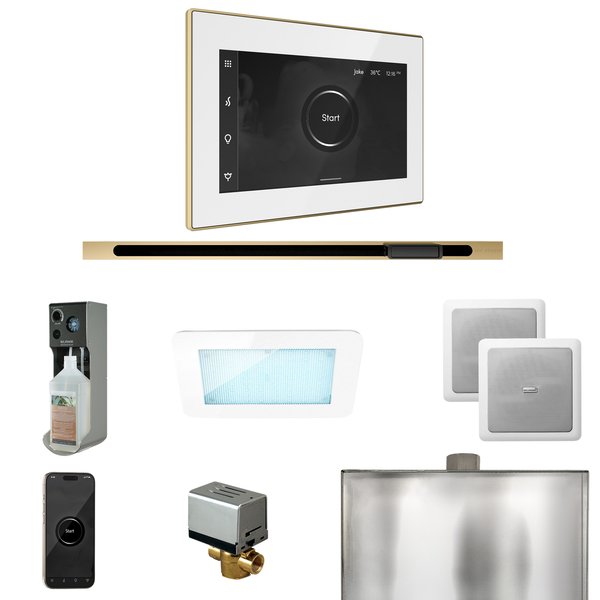 Mr. Steam XDream Steam Shower Control Package with iSteamX Control and Linear Steamhead