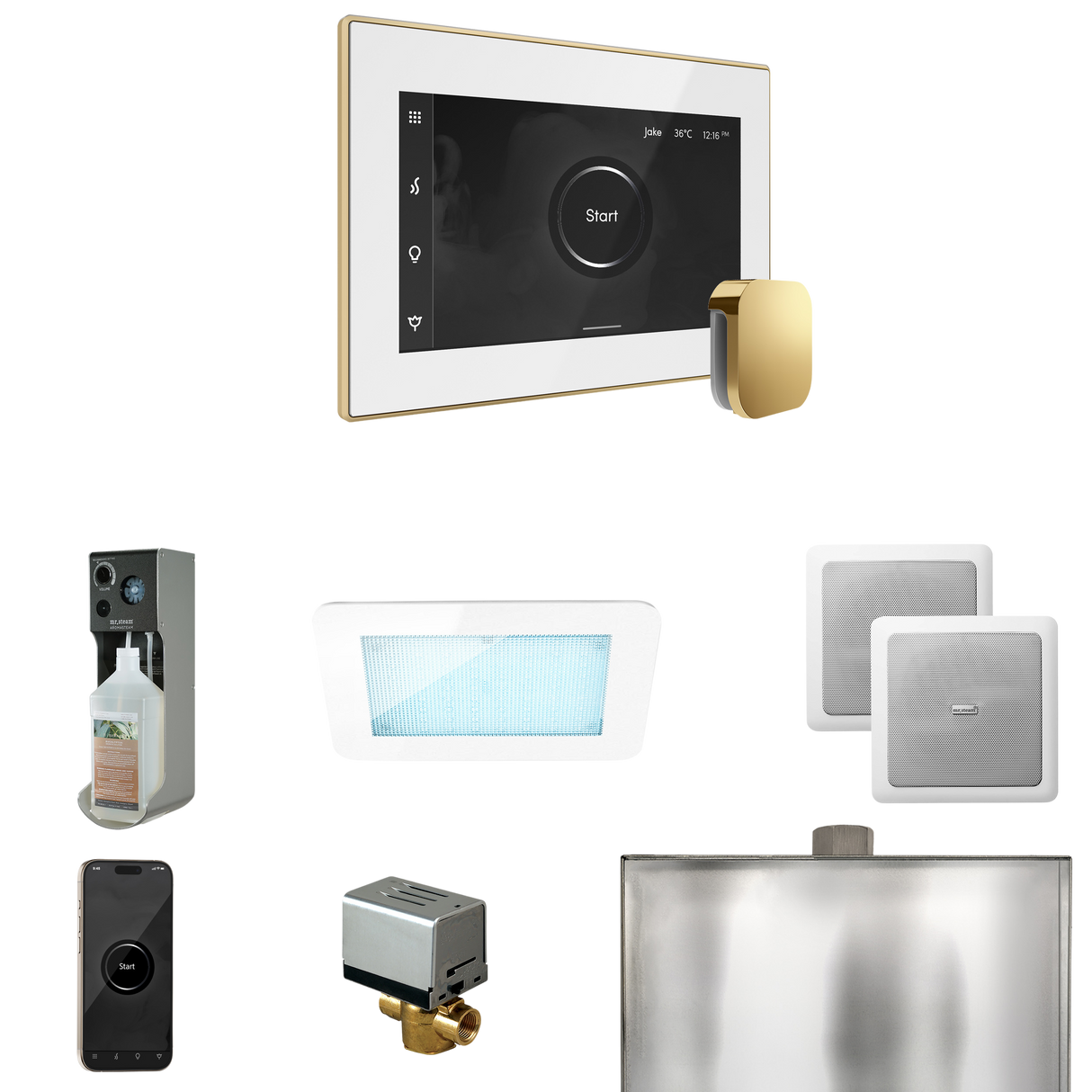 Mr. Steam XDream Steam Shower Control Package with iSteamX Control and Steamhead