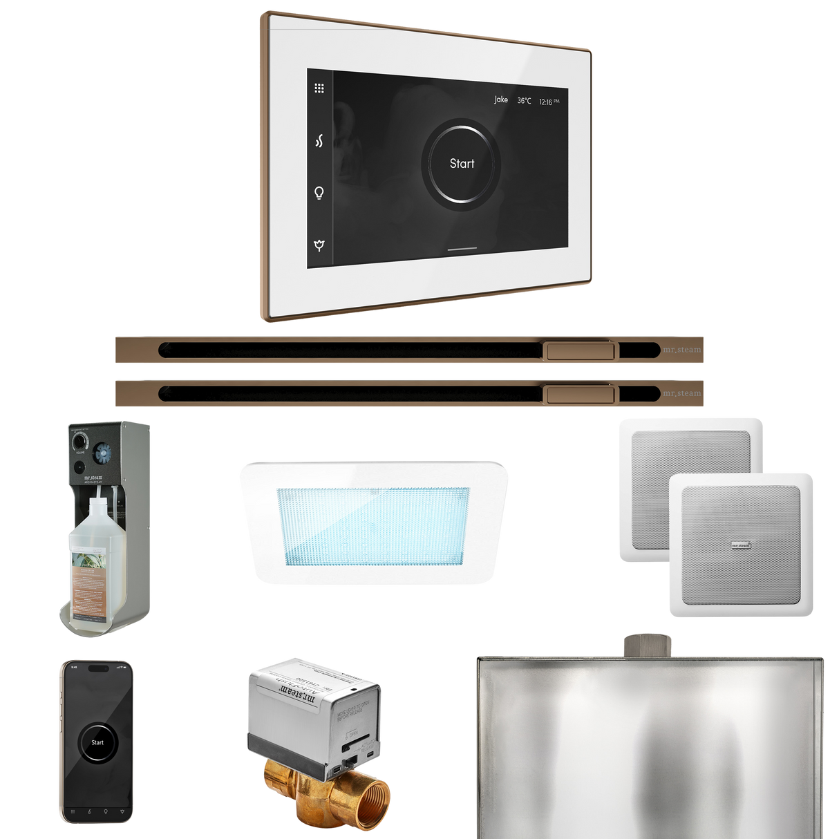 Mr. Steam XDream Max Steam Shower Control Package with iSteamX Control and Linear Steamhead