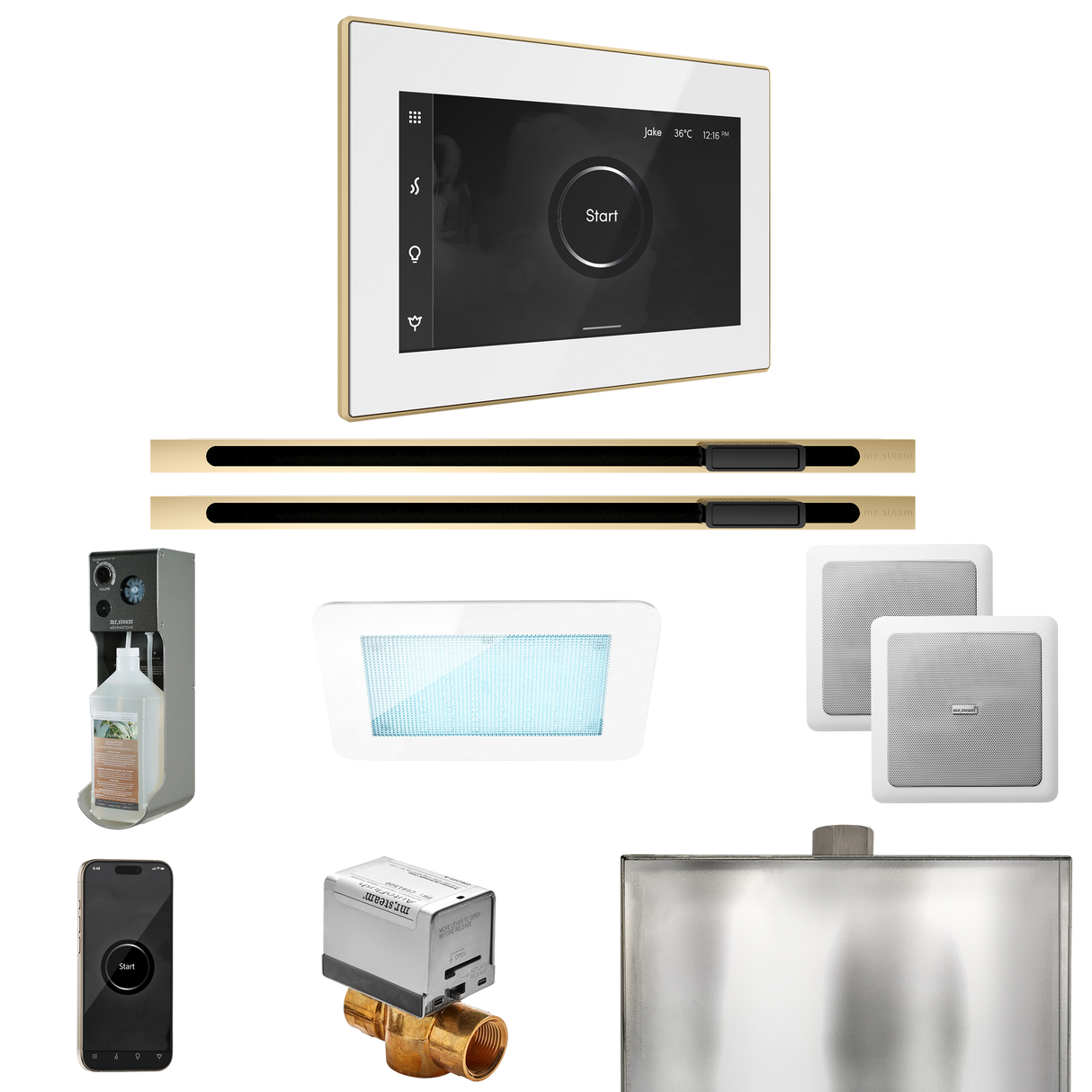 Mr. Steam XDream Max Steam Shower Control Package with iSteamX Control and Linear Steamhead