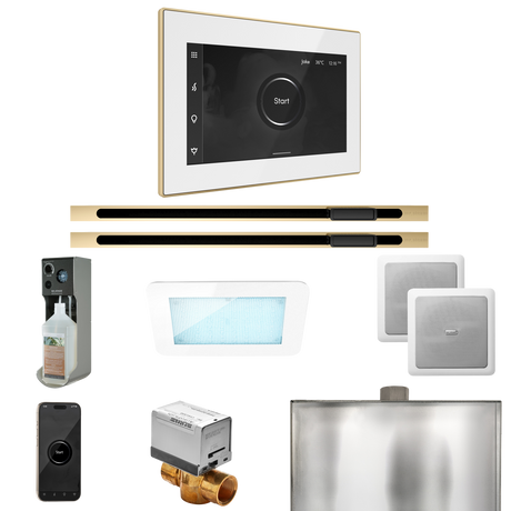 Mr. Steam XDream Max Steam Shower Control Package with iSteamX Control and Linear Steamhead