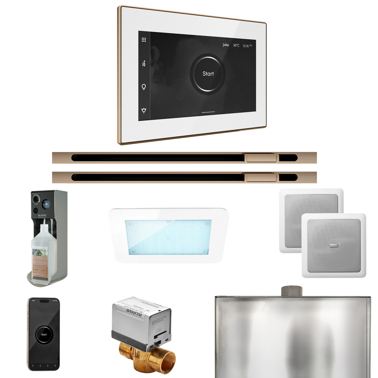 Mr. Steam XDream Max Steam Shower Control Package with iSteamX Control and Linear Steamhead