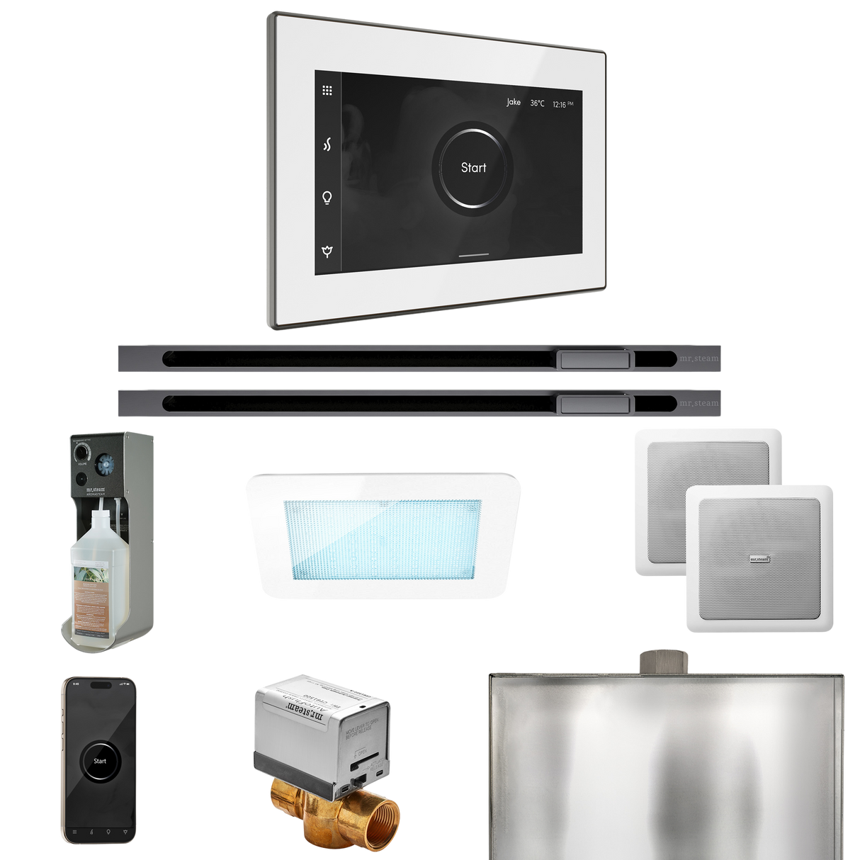 Mr. Steam XDream Max Steam Shower Control Package with iSteamX Control and Linear Steamhead