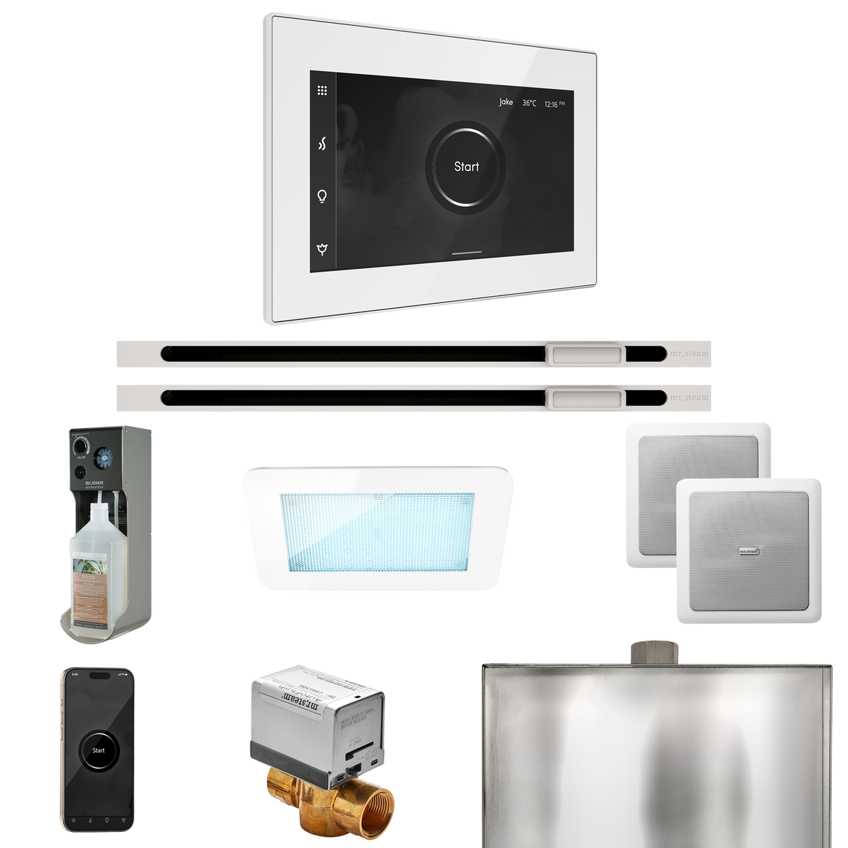 Mr. Steam XDream Max Steam Shower Control Package with iSteamX Control and Linear Steamhead