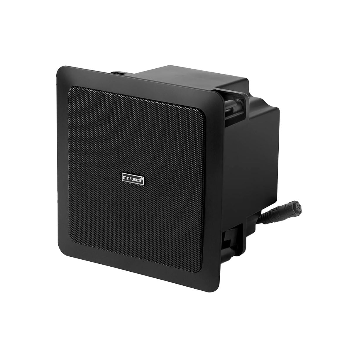 Mr. Steam AUDIOX Speaker