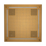 ThermaSol HydroVive 18 Rainhead
