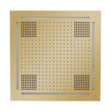ThermaSol HydroVive 18 Rainhead
