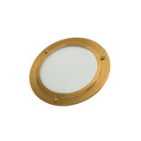 ThermaSol SL Shower Light