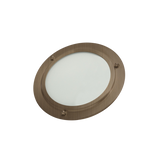 ThermaSol SL Shower Light