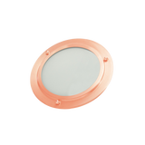 ThermaSol SL Shower Light