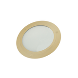 ThermaSol SL Shower Light