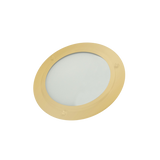 ThermaSol SL Shower Light