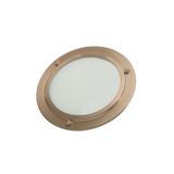 ThermaSol SL Shower Light